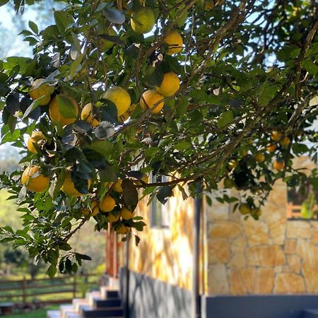 Casa De Campo Fichtelberger Hohenau Екстериор снимка